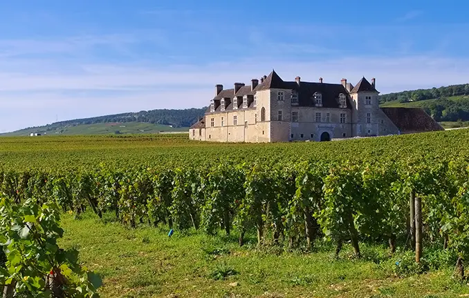 Chateau du Clos de Vougeot